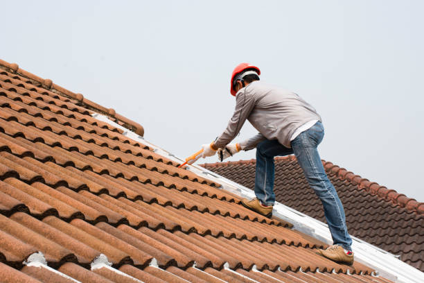 Best Asphalt Shingle Roofing  in Elkhorn, CA